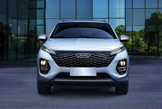 ام وی ام ایکس 33 کراس